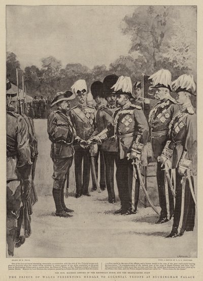 Der Prinz von Wales überreicht Medaillen an Kolonialtruppen im Buckingham Palace von William Small